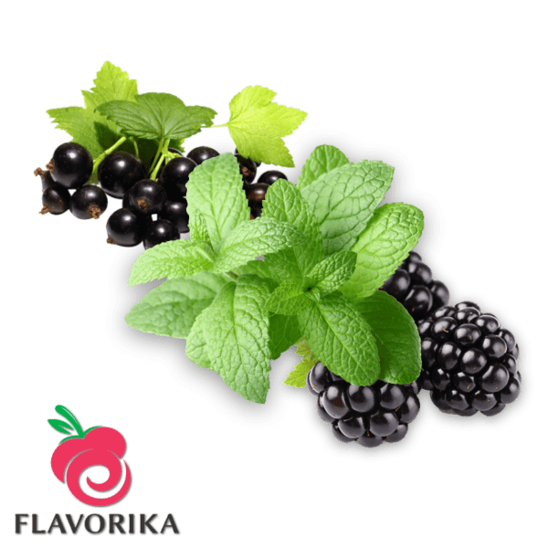 Flavorika Black Fruit and Mint Lebensmittelaromen.eu